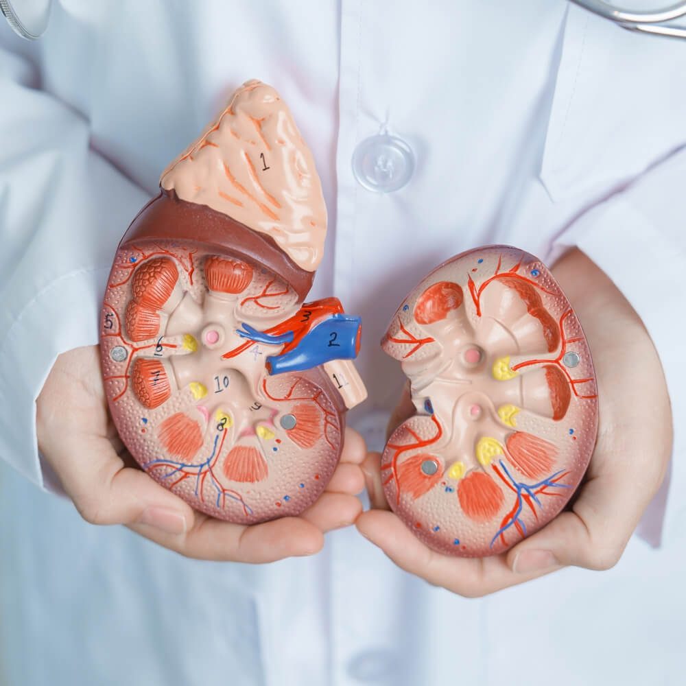 Pacientes com Insuficiência Renal