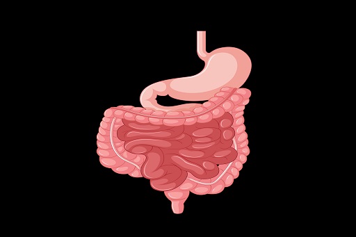 Contraindicado quando estimular a motilidade GastroIntestinal é perigoso: hemorragia, obstrução ou perfuração