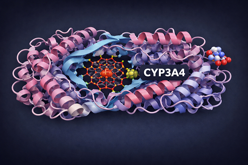 Contraindicado em pacientes que utilizam a isoenzima CYP3A4, principais enzimas metabolizadoras do organismo