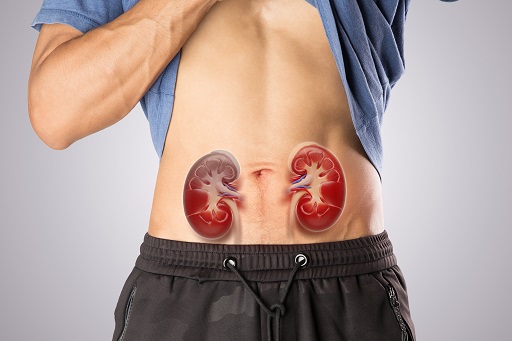 Estreitamento significativo das duas artérias que levam sangue para ambos os rins