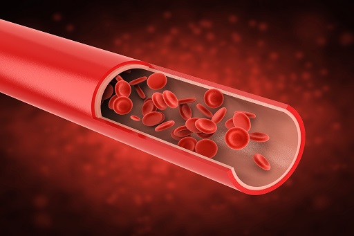 Aumento da concentração dos glóbulos vermelhos do sangue