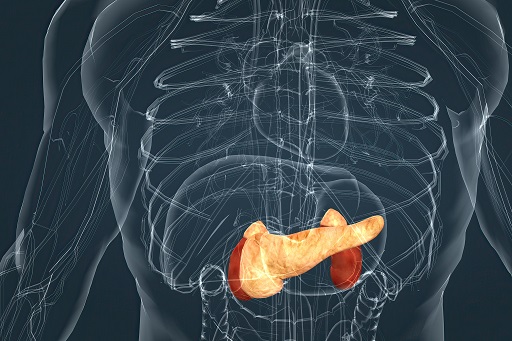 Aumento das enzimas pancreáticas
