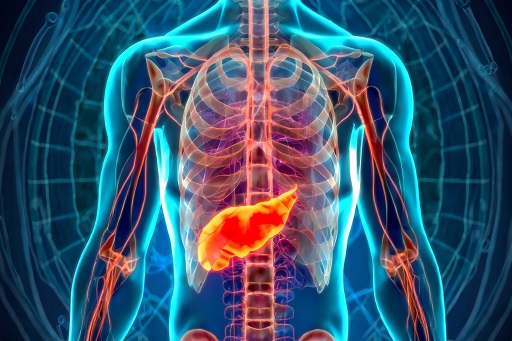 Lipase ou amilase aumentadas