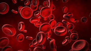 Anemia Aplástica