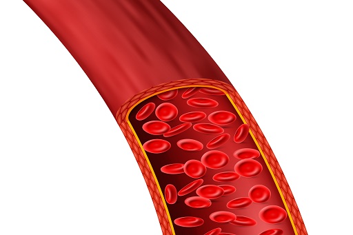 Vasoespasmos arterial