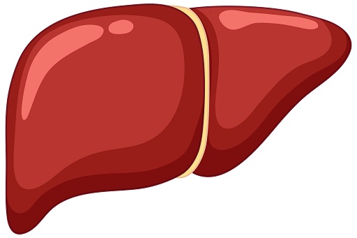 Hepatite Medicamentosa