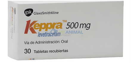 Imagem de Detalhes do Tratamento